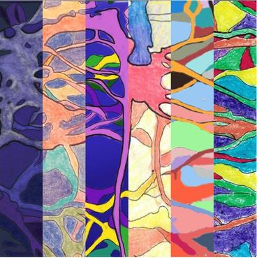Image of a group of colorful neurons